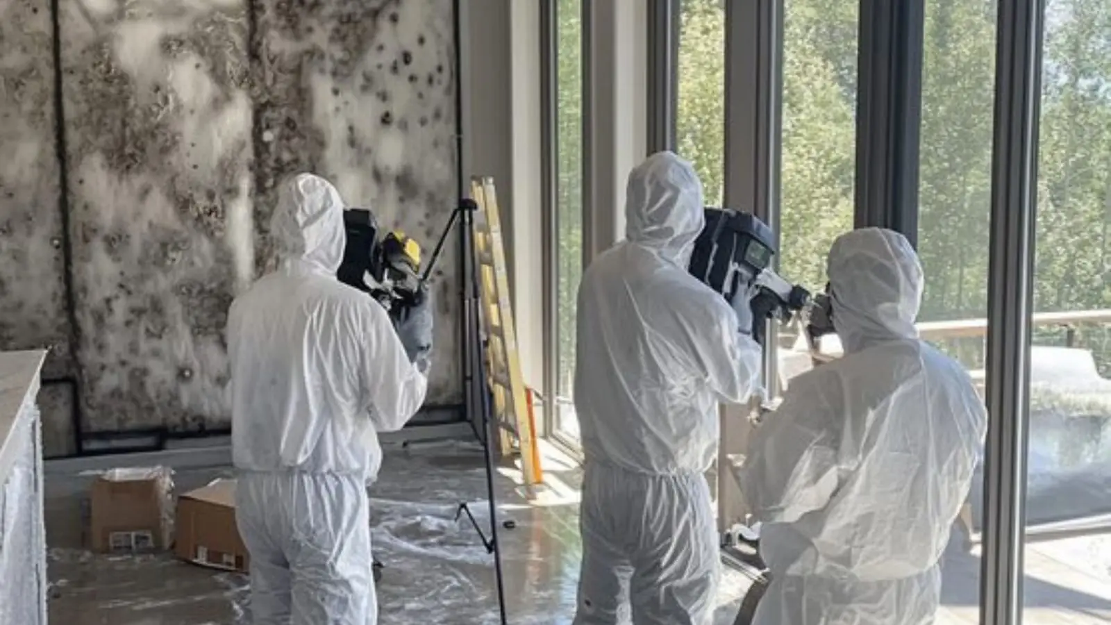 Three specialists in white protective suits documenting a heavily mold-covered wall with cameras