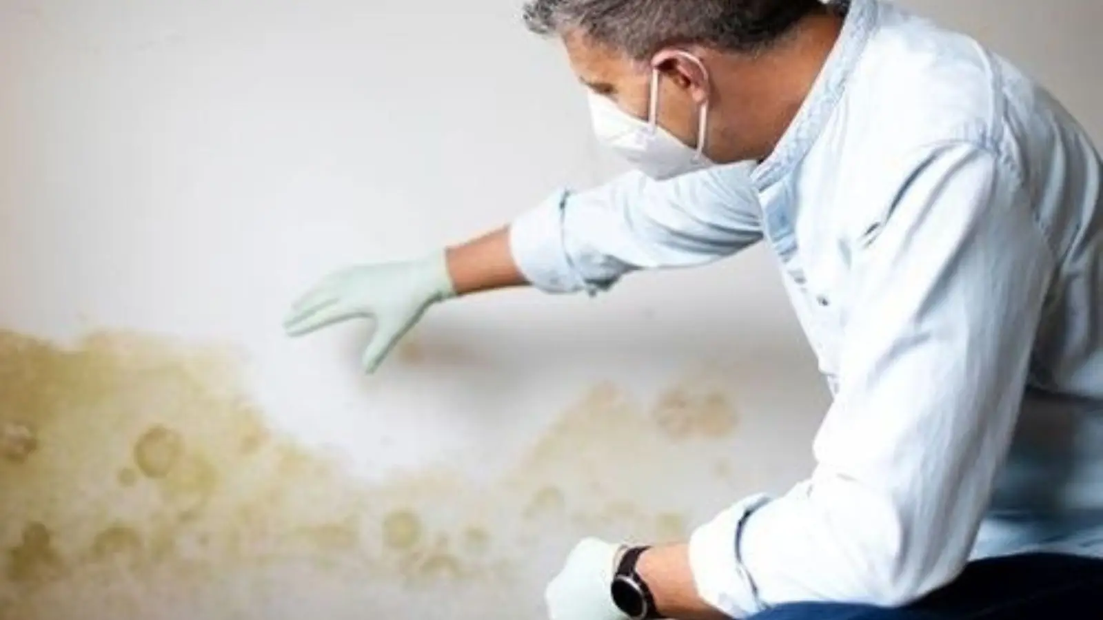 Man in a face mask and gloves inspecting yellow-brown water stains and mold spotting on a white wall