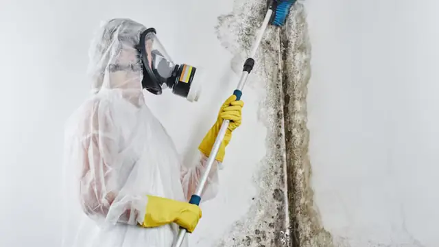 Worker in a respirator and protective suit scrubbing black mold from a wall with a long-handled tool