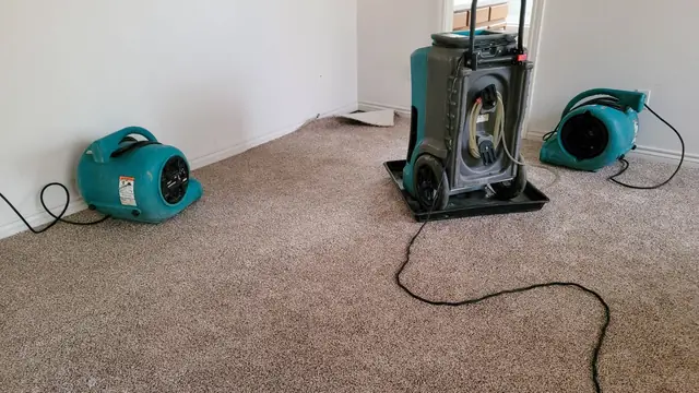 Desiccant dehumidifier and two air movers drying a carpeted room